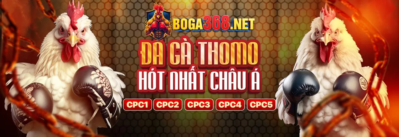 Giao diện xem đá gà trực tuyến 77 ball link mới