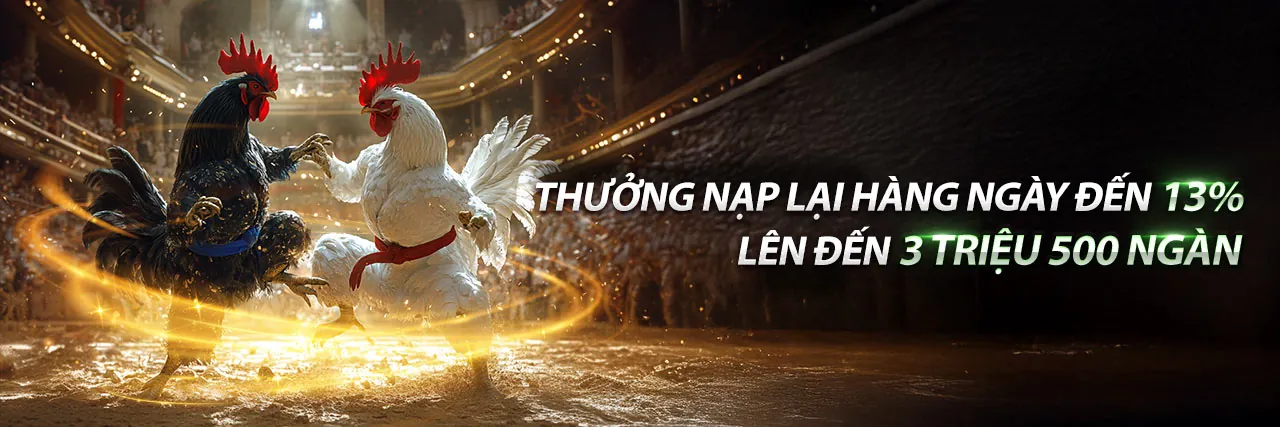 Đấu trường đá gà trực tuyến sôi động tại 77 ball link mới